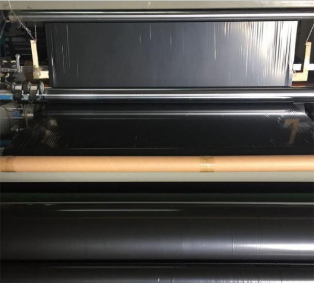dm1